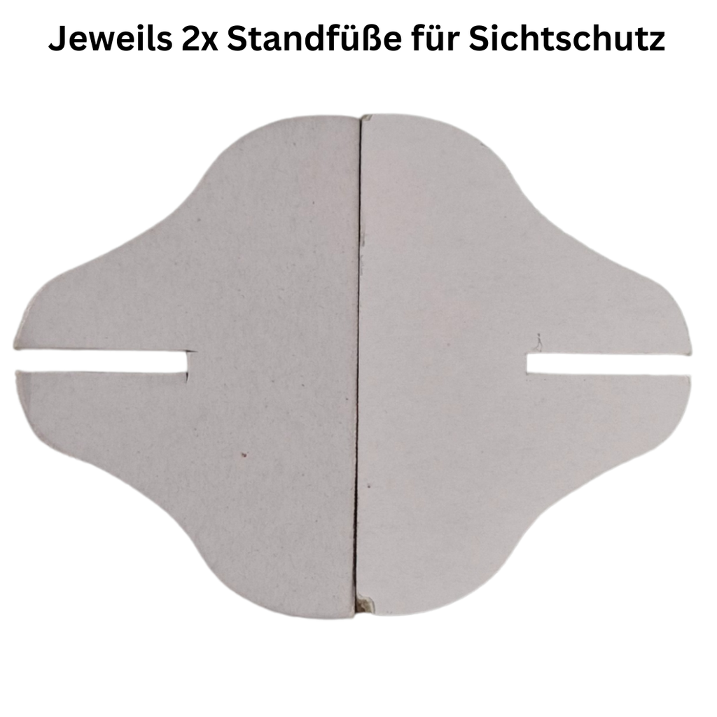 Pässe verschenken - Ein Brettspiel voller Hoffnung